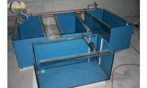 Zuchtraum und Garagenumbau 2010 2011